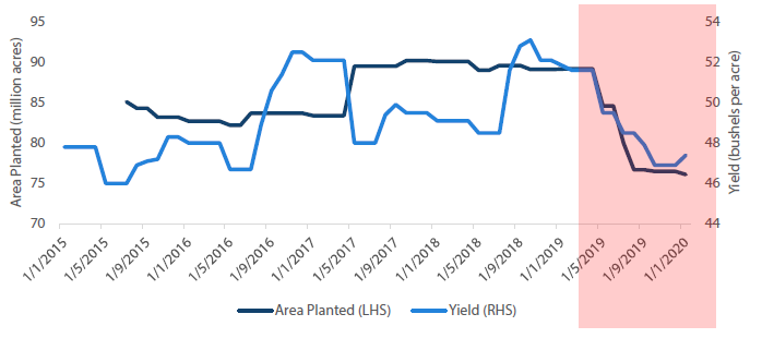 Chart 6: US soybeans supply